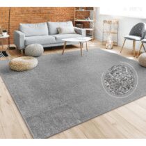 ⭕️Paco Home Tappeto Pelo Corto, Lavabile, Monocolore, Semplice e Moderno, per Soggiorno, Camera da Letto e Ingresso, Dimensione:60x100 cm, Colore:Antracite