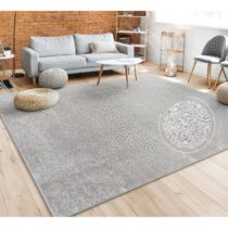 ⭕️Paco Home Tappeto Pelo Corto, Lavabile, Monocolore, Semplice e Moderno, per Soggiorno, Camera da Letto e Ingresso, Dimensione:200x280 cm, Colore:Argento